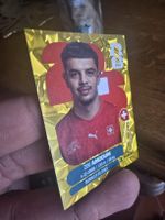 Panini Sticker WM 2026 Gold Crumple Flood, SUI 20