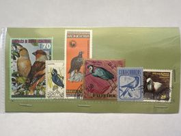 Collection de timbres sur le thème des oiseaux exotiques