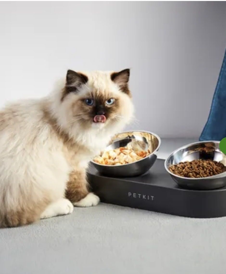 Petkit Coupes: Tierbedarf Katzen Futter Näpfe de luxe PETKIT – Neuf (Voir description) à Bern par Tuglie-Lecce