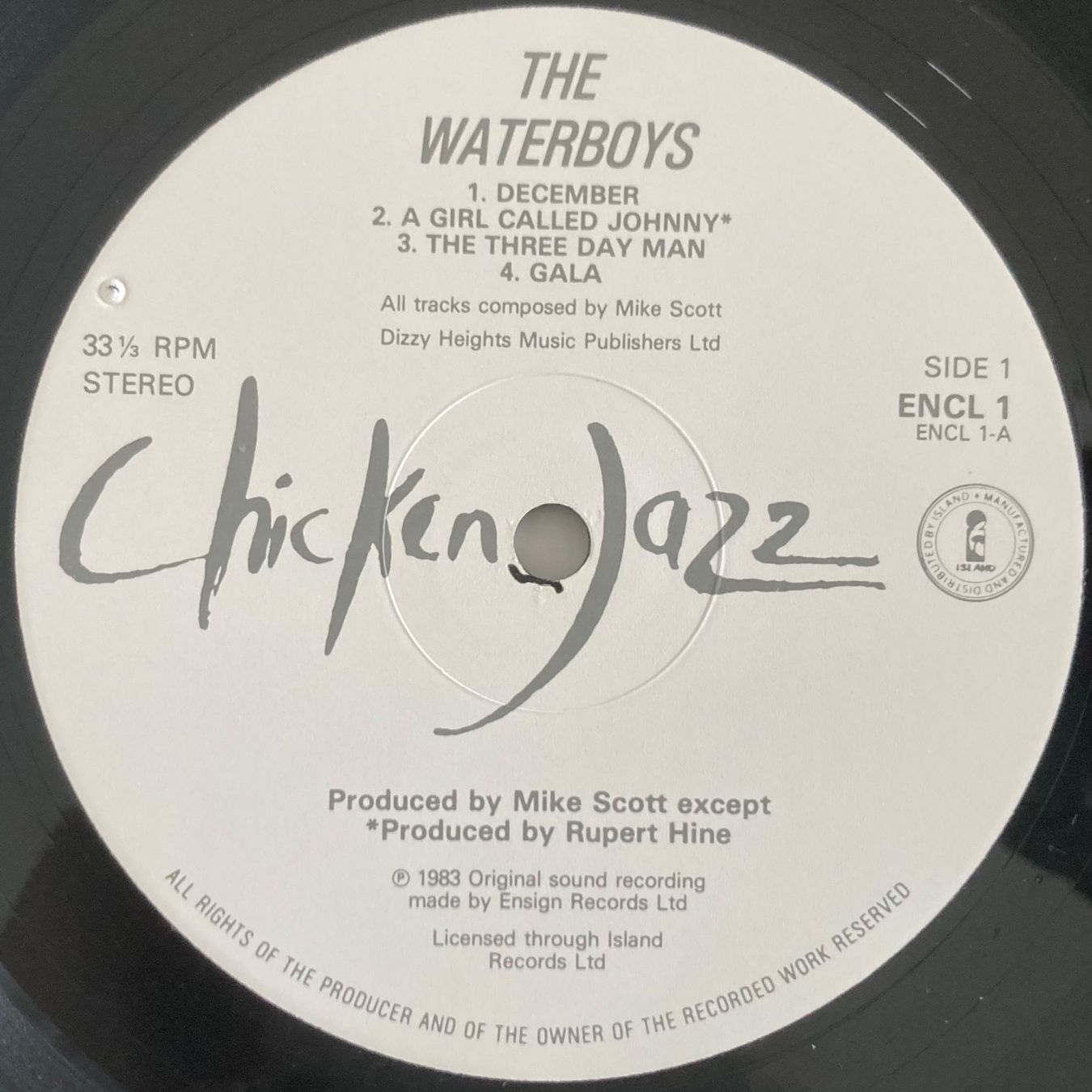Dischi in vinile: THE WATERBOYS - THE WATERBOYS – Usato da Poliez-Pittet venduto da Newtown-Records 2