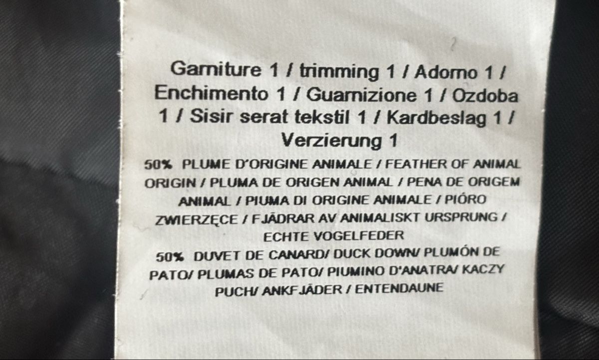 Morgan Giacche: Morgan Daunenjacke Gr. 40 (M) – Usato da Speicher venduto da star0841 8