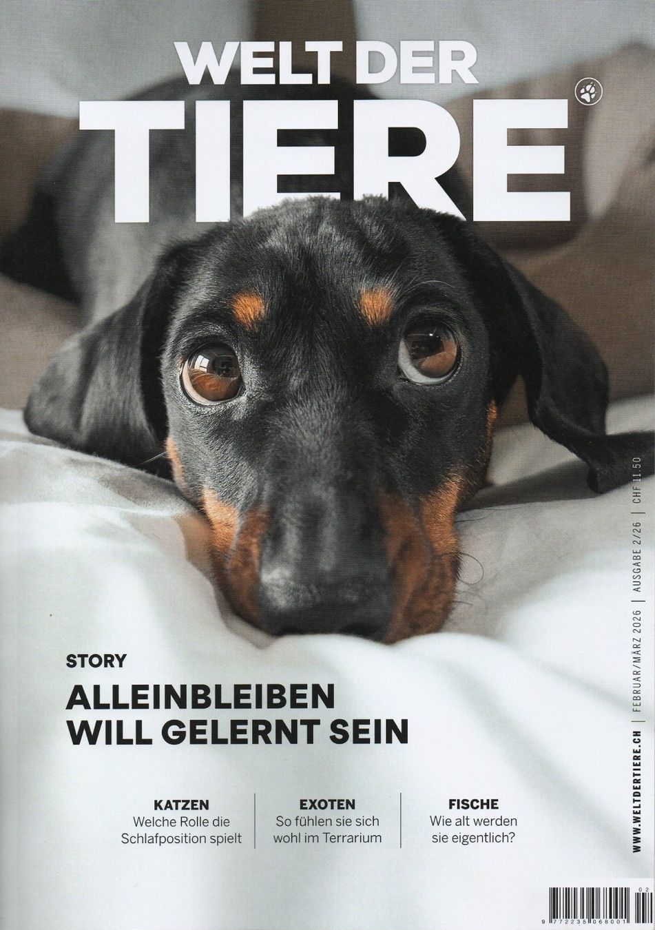 Riviste & Magazine: Zeitschrift "Welt der Tiere", Ausgabe 2/26 – Nuovo (secondo la descrizione) da Kriens venduto da Kraeutergarten