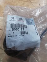 Peugeot Original Teil Antenne Zündschloss 616077