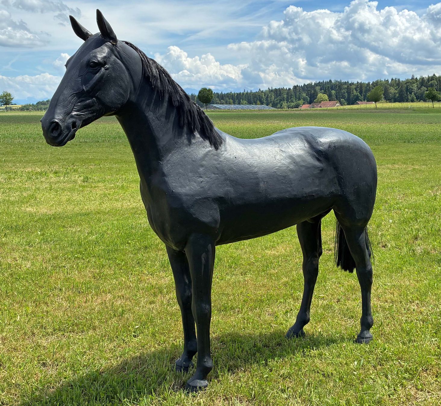 Statuette: Schwarzes Pferd Lebensgross – Usato da Bäretswil venduto da robsonantik 7