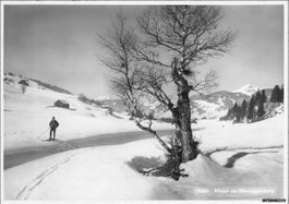 Obertoggenburg SG // 1940 Skifahrer Winter Toggenburg