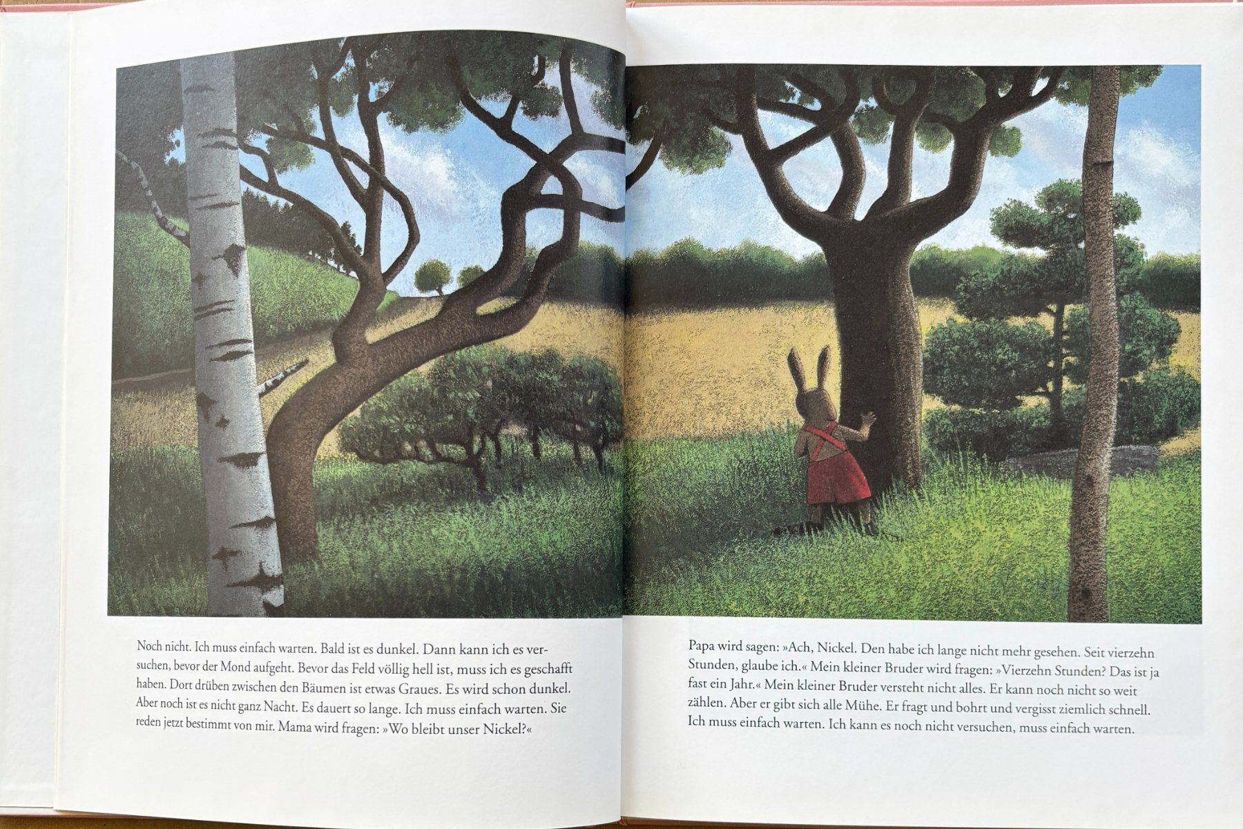 Libri: Das weite Feld – Nuovo (secondo la descrizione) da Sarnen venduto da Livres 2