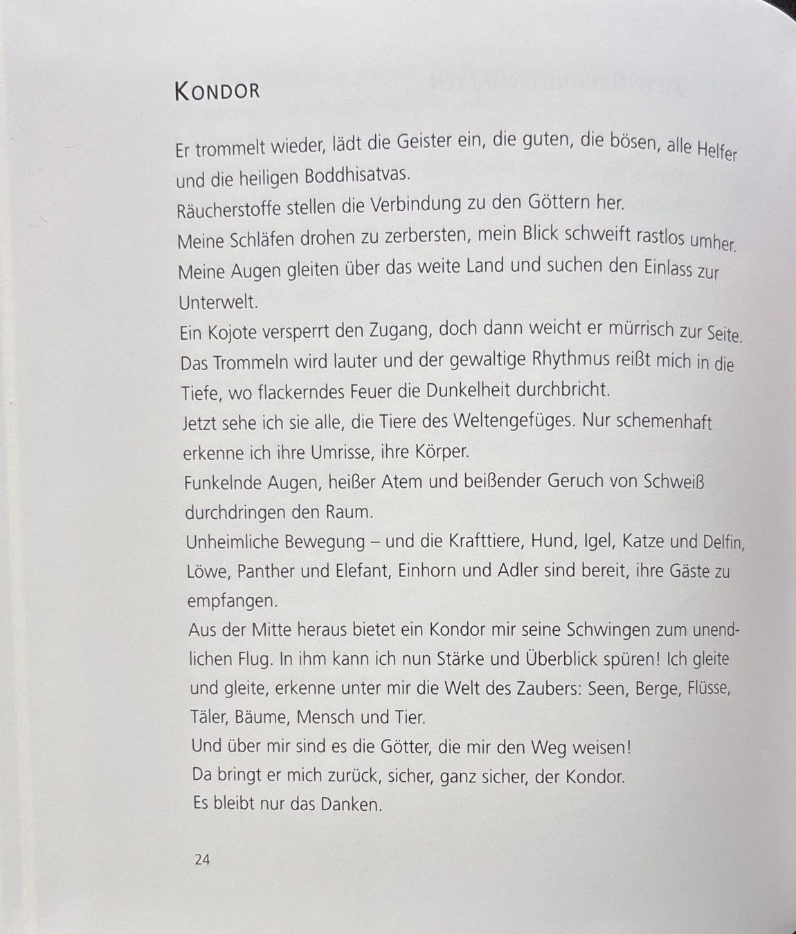 Libri: Brunier Eberhard, Windpferde – Nuovo (secondo la descrizione) da Sarnen venduto da Livres 5