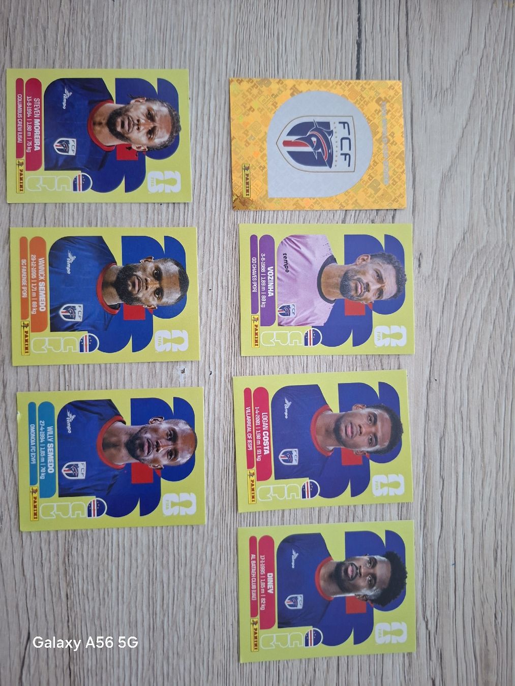 Panini Carte collezionabili: panini cpv – Nuovo e nell'imballaggio originale da Vionnaz venduto da NMNB 1