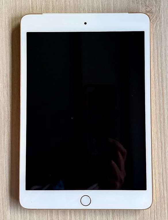 Tablettes PC: iPad Mini3 – D'occasion à Wolfisberg par Santschi70 1