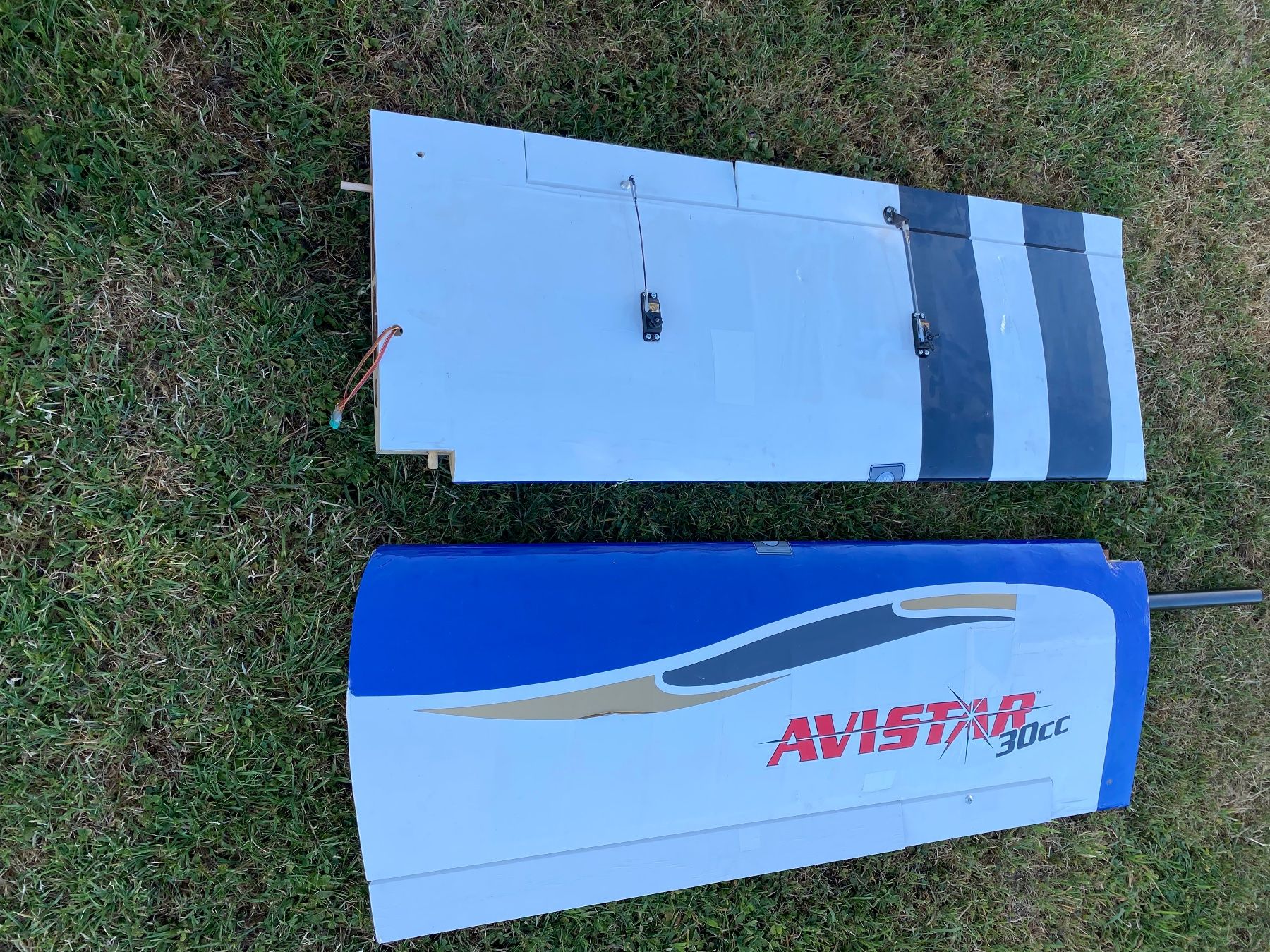 RC Modellbau: Modellflugzeug AVISTAR – Gebraucht aus Berg TG von chr_2tsk 2