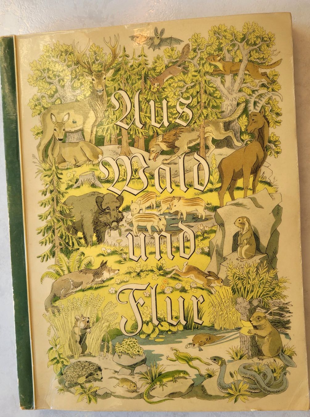 Libri: Aus Wald und Flur und Deutsche Märchen – Usato da Oberuzwil venduto da rtr_wp6m 1