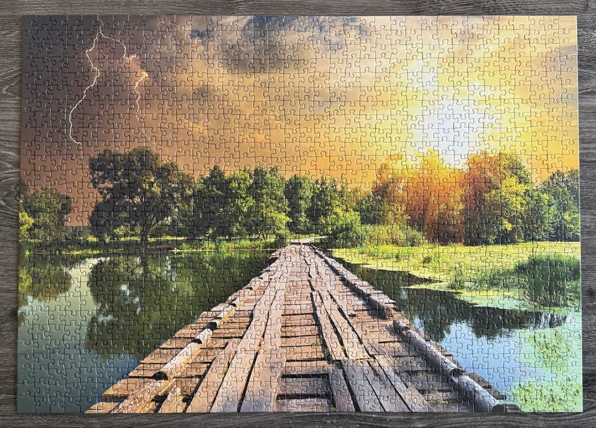 Ravensburger Puzzle: Puzzle 1000 Teile Ravensburger – Usato da Zeiningen venduto da viv_5kfy 1