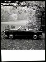 Fotografie Auto Alfa Romeo Giulia Spyder