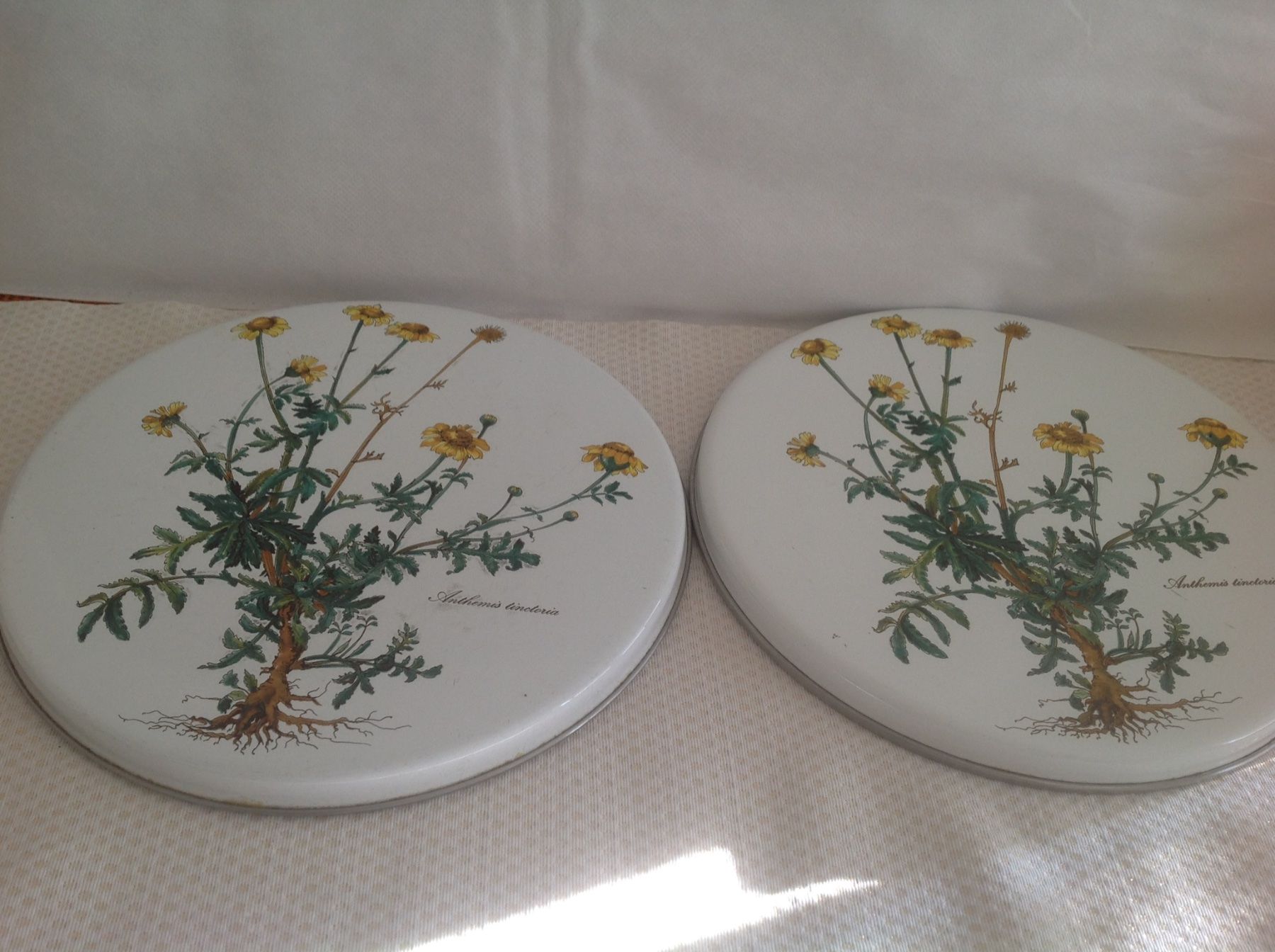 Villeroy & Boch Teglie da forno: Villeroy & Boch - Botanica - cache plaque de cuisson – Usato da Sion venduto da accroshoes