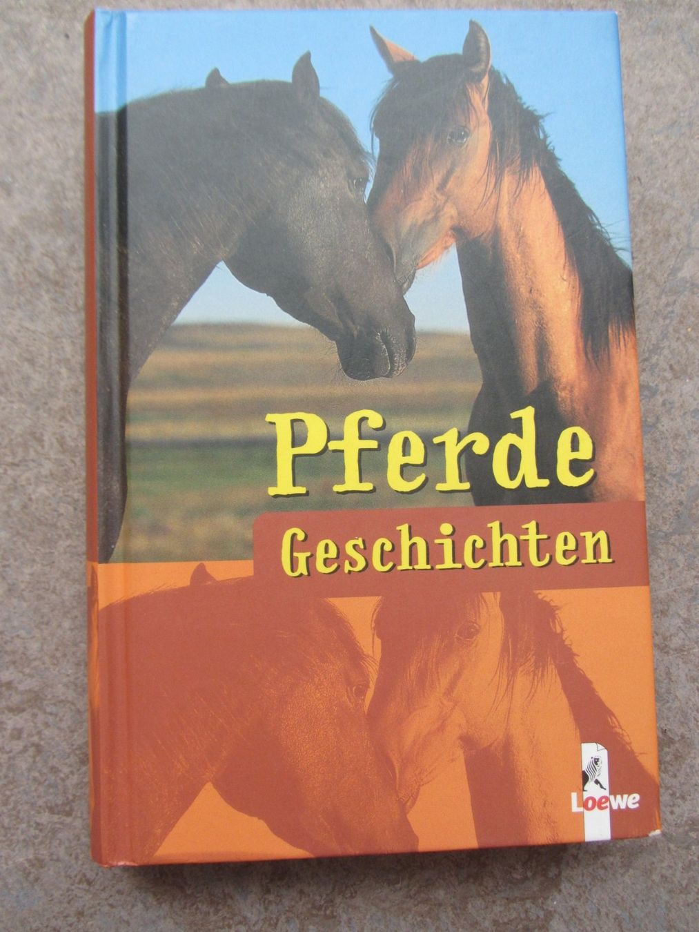 Libri: 4 Pferde Geschichten Bücher – Nuovo (secondo la descrizione) da Malters venduto da Hausi88 6