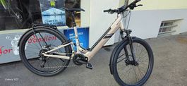 E-Bike tiefensteig fully