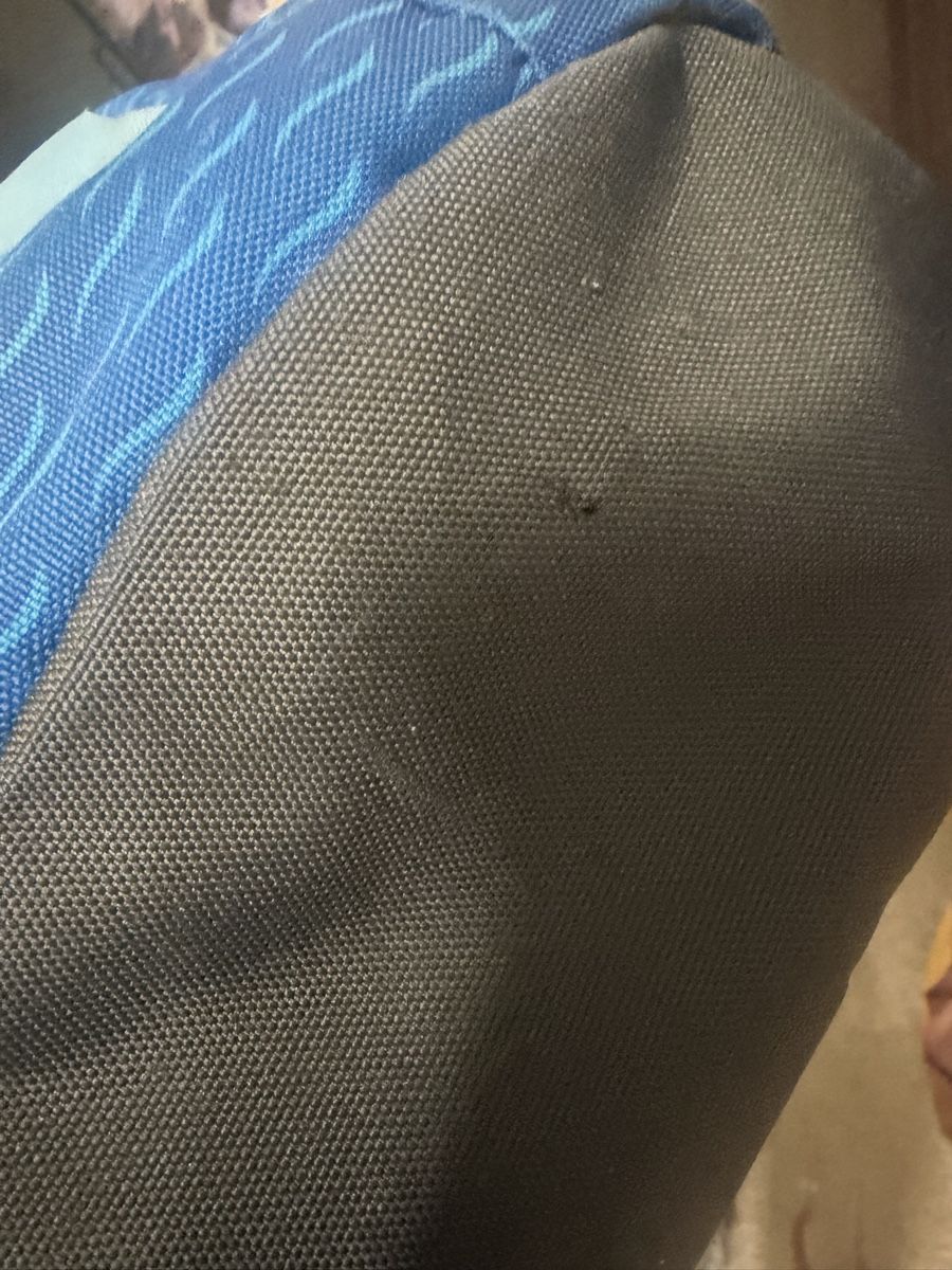 Deuter Borse & Zaini: Deuter Rucksack Schmusebär blau gebraucht – Usato da Feldbrunnen venduto da cleo09 1