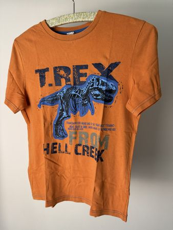 Kinder T-Shirt Orange, Grösse 152 Dinosaurier Print