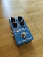 Flashback Delay and Looper 