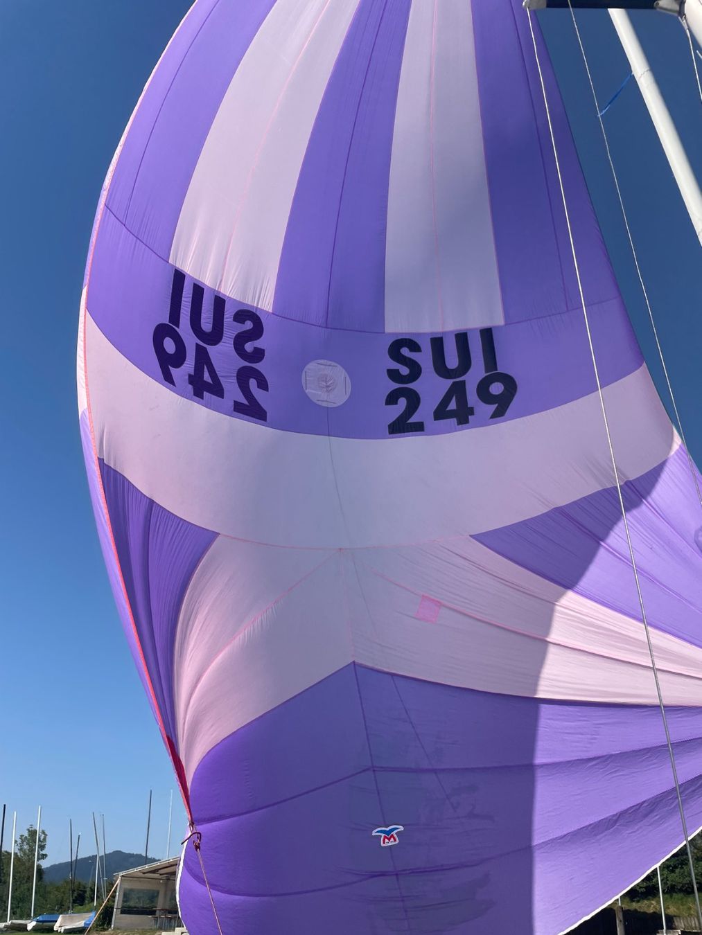 Barche: Segelboot Haag Dyas mit Bootstrailer – Usato da Richterswil venduto da Blue210 2