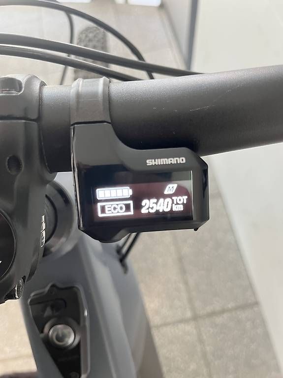 Biciclette: Canyon Torque:ON9 | Gr. L | Fox Factory – Usato da Basel venduto da gan_6vk9 4