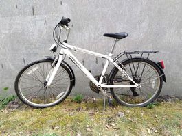 Kinder Fahrrad Leopard Space Cat