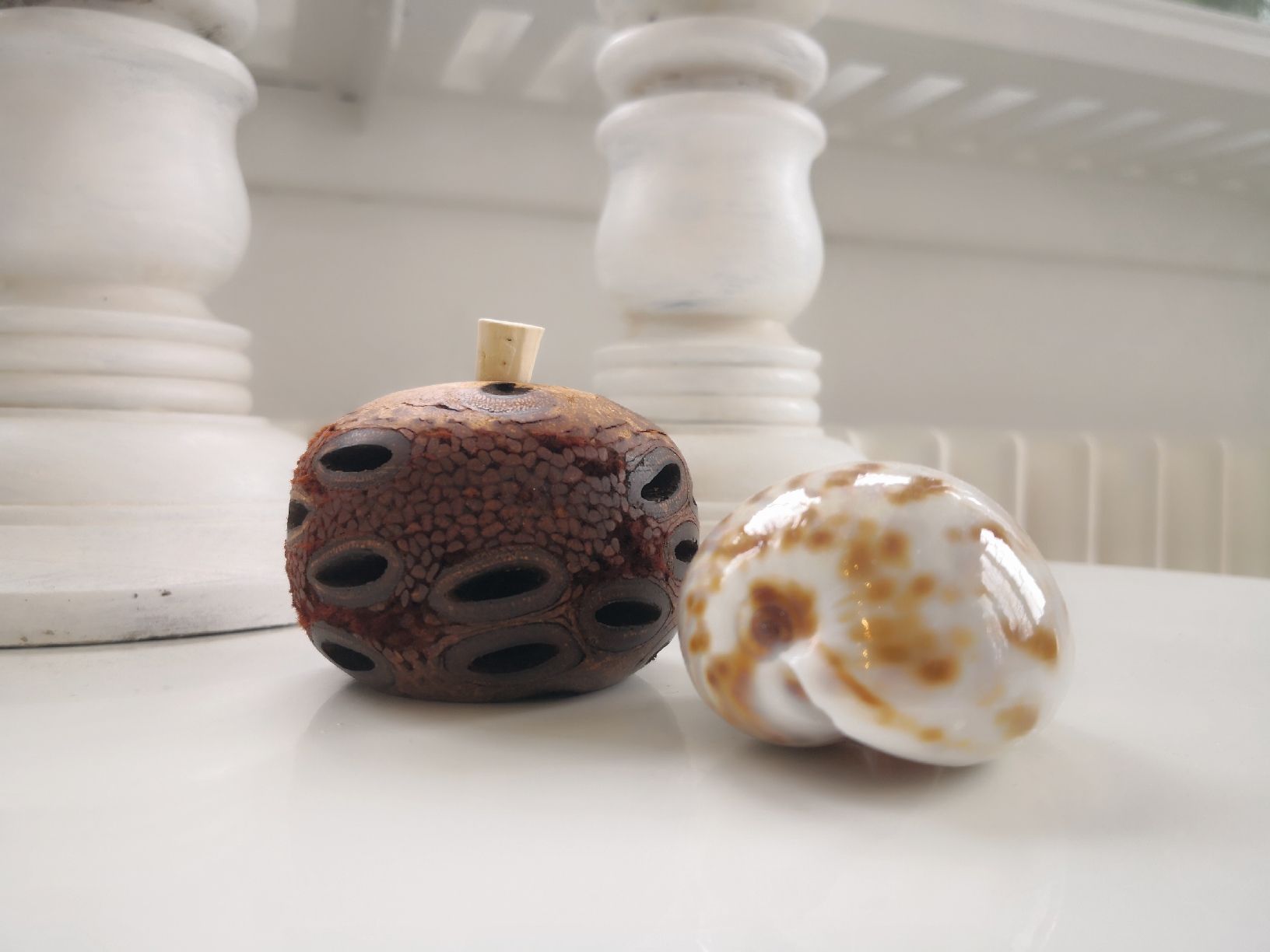 Tutte le decorazioni: 🤩BANKSIA ÄTHERISCHER ÖL DIFFUSER AUS AUSTRALIEN RAR – Nuovo (secondo la descrizione) da Olten venduto da Naja-Twins-Twins 4