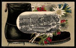 AK St. Gallen, Teilansicht der Stadt, Ansicht auf Wanderstie