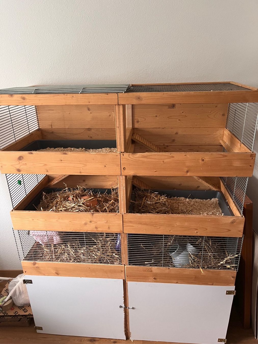 Cages, transport & sécurité: Käfig / Rattenkäfig – D'occasion à Lyss par sebitron 1