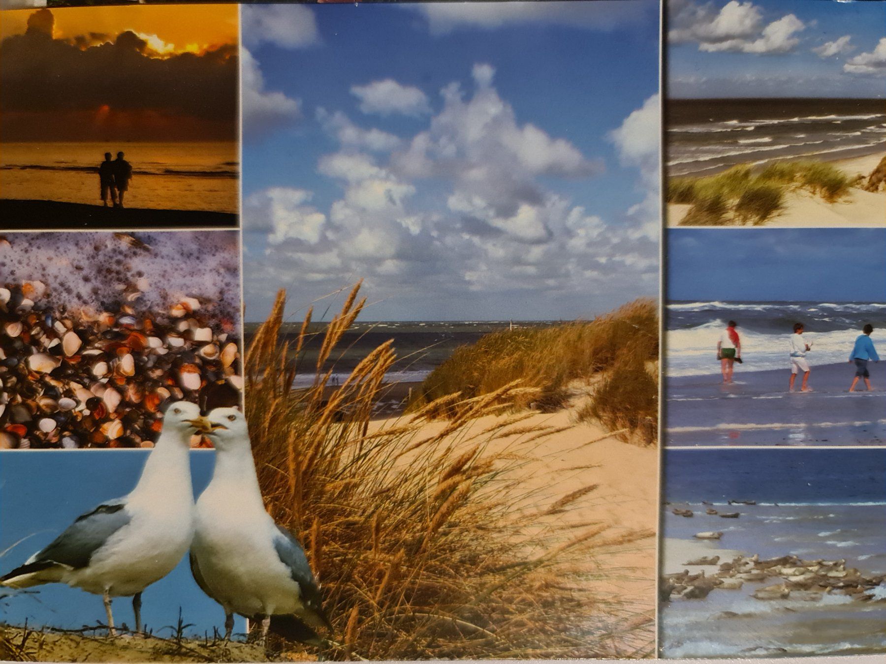 Cartoline postali: Ansichtskarte Texel Niederlande – Usato da Dintikon venduto da Vexi