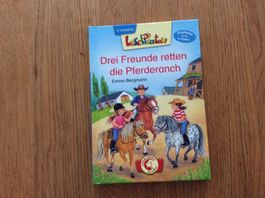 Drei Freunde retten die Pferderanch