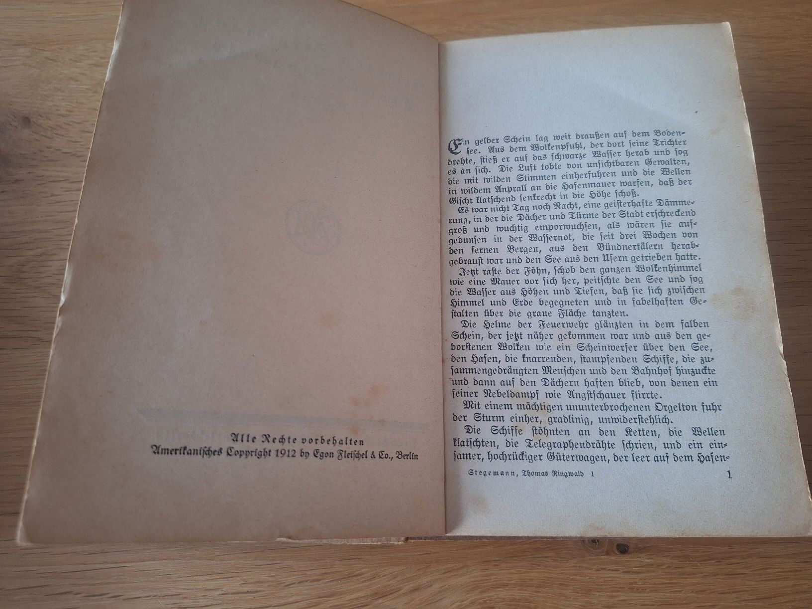 Libri: Hermann Stegmanns Ausgewählte Werke Thomas Ringwald Roman – Usato da Wanzwil venduto da chlinih93 1