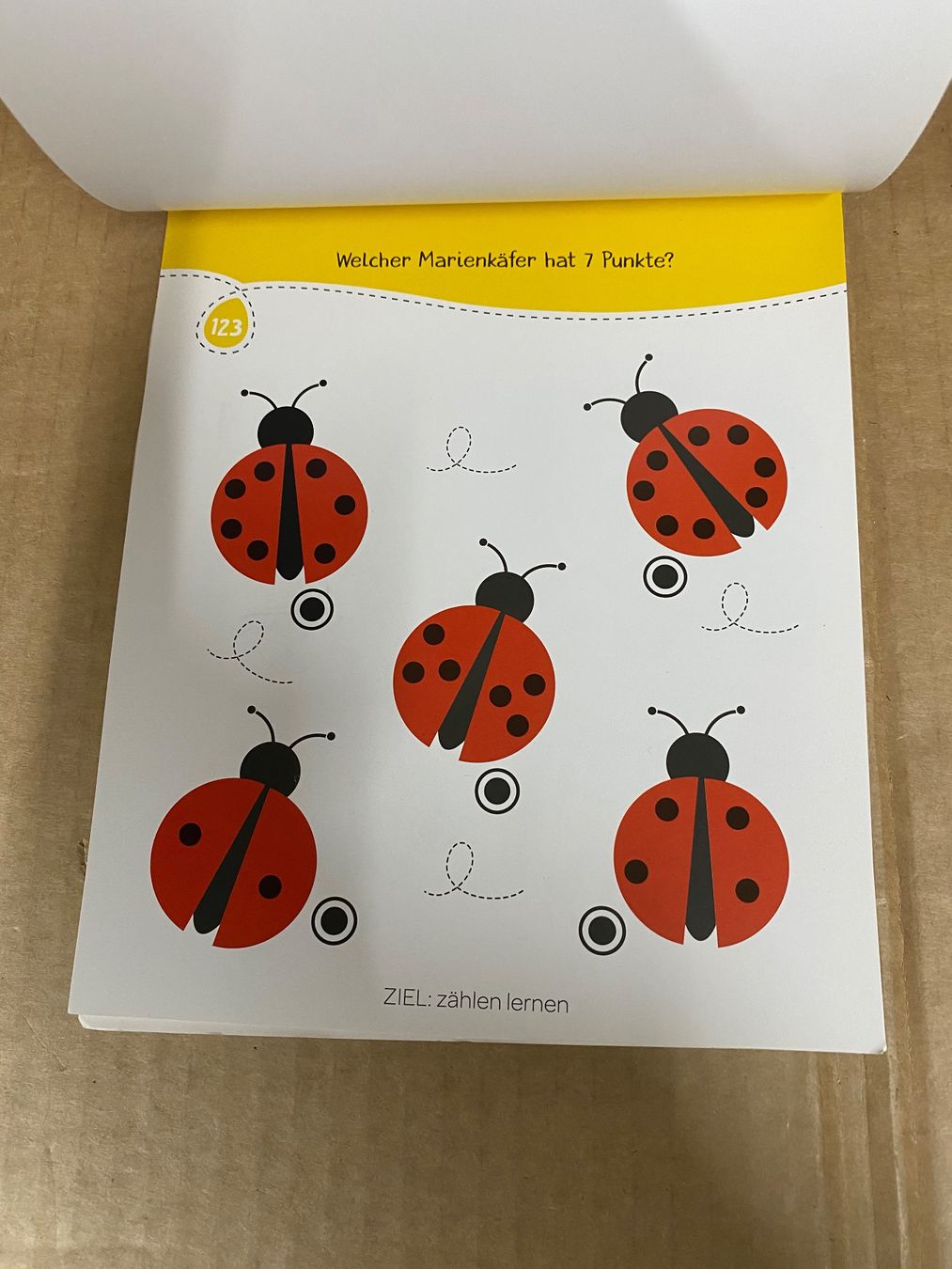 Libri: Lerne mit dem Lernkäfer +4 – Usato da Eschlikon TG venduto da RamonaSt 2