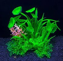 Ensemble de plante d'aquarium - 14cm x 8cm (P513)