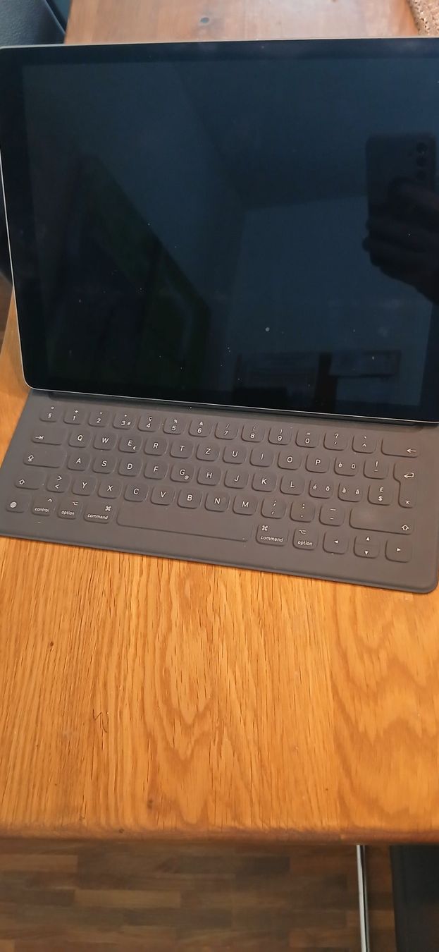 Apple Tablet PC: Ipad pro 12.9 gen 2 mit Tastatur – Usato da Regensdorf venduto da ste_7k6h 1