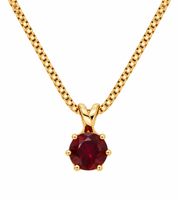 Anhänger 14karat mit Kette s925