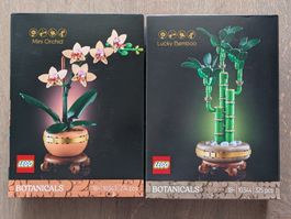 Lego 10343 Mini-Orchidee & 10344 Glücks-Bambus [neu&OVP]