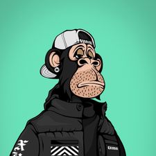Profile image of Robirob77
