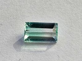 BIcolor Turmalin; 0.91 ct; oKtagon; eyeclean