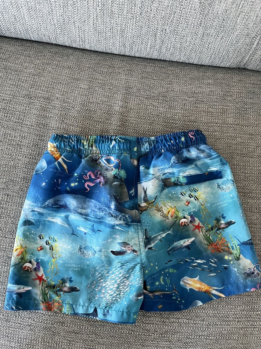 Molo Costumi da bagno: ***MOLO*** Badehose Gr. 122/128 – Nuovo (secondo la descrizione) da Volketswil venduto da Kephren 3
