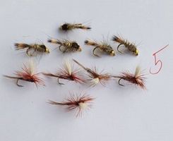 10 Fliege für Fischen Nr.5