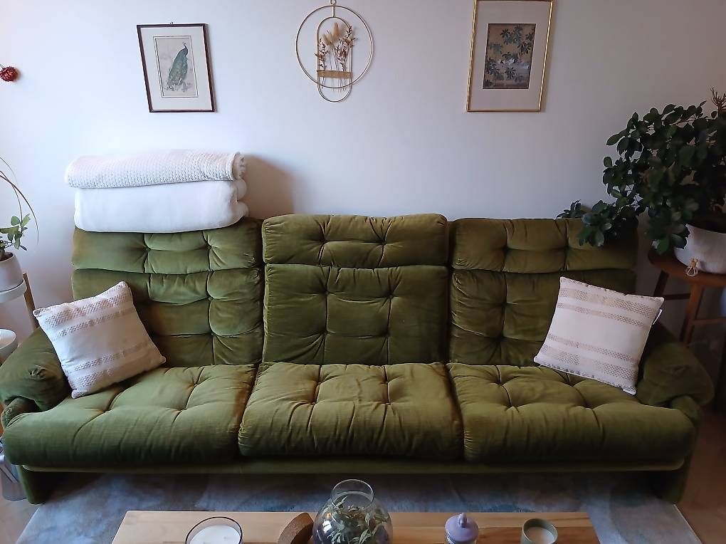 Divani: Canapé acheté neuf 250cm x 40cm x 35cm – Usato da Neuchâtel venduto da syr_v6t5 1