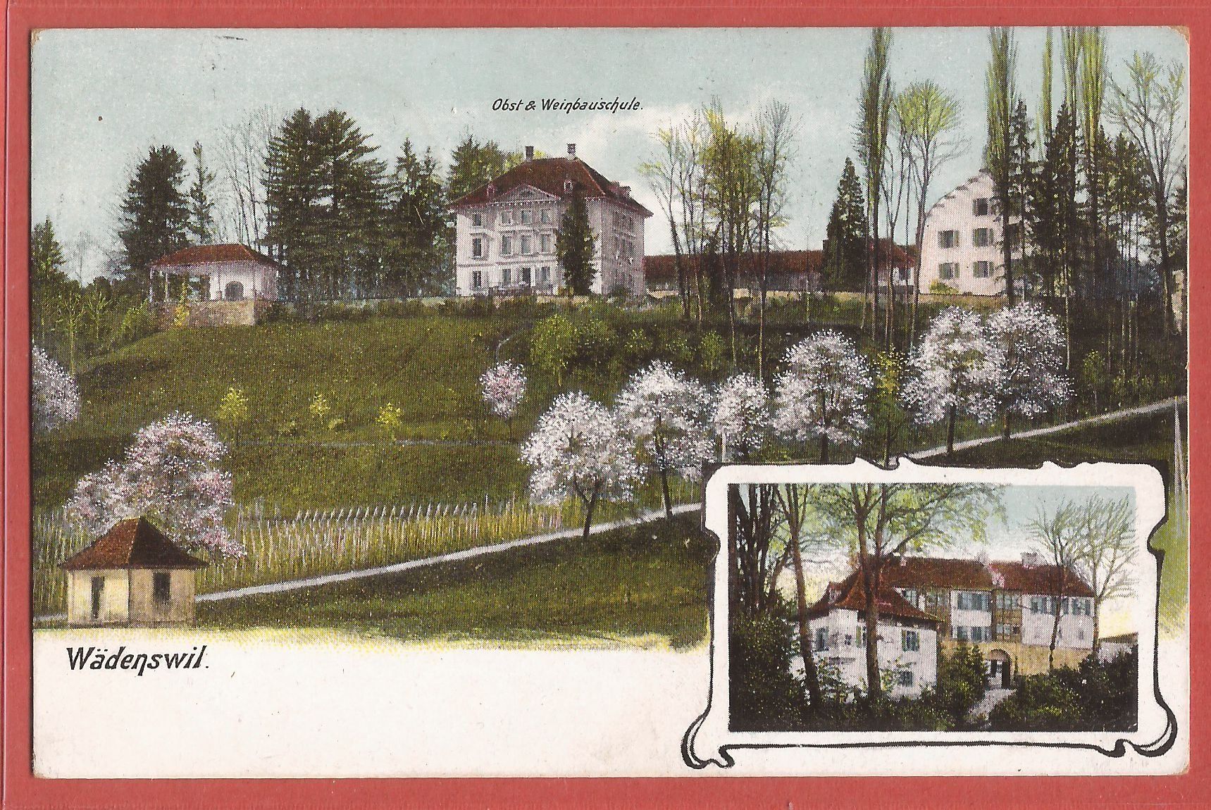 Cartoline postali: Wädenswil - Obst- und Weinbauschule - 1910 – Usato da Fislisbach venduto da Porano
