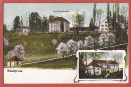 Wädenswil - Obst- und Weinbauschule - 1910
