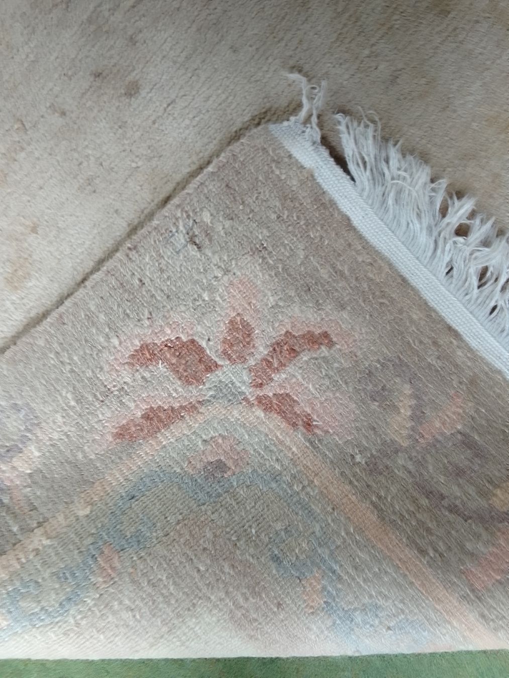 Tavoli: Teppich 2.5 x 3 Meter – Usato da Ebmatingen venduto da swiss.canadian 2