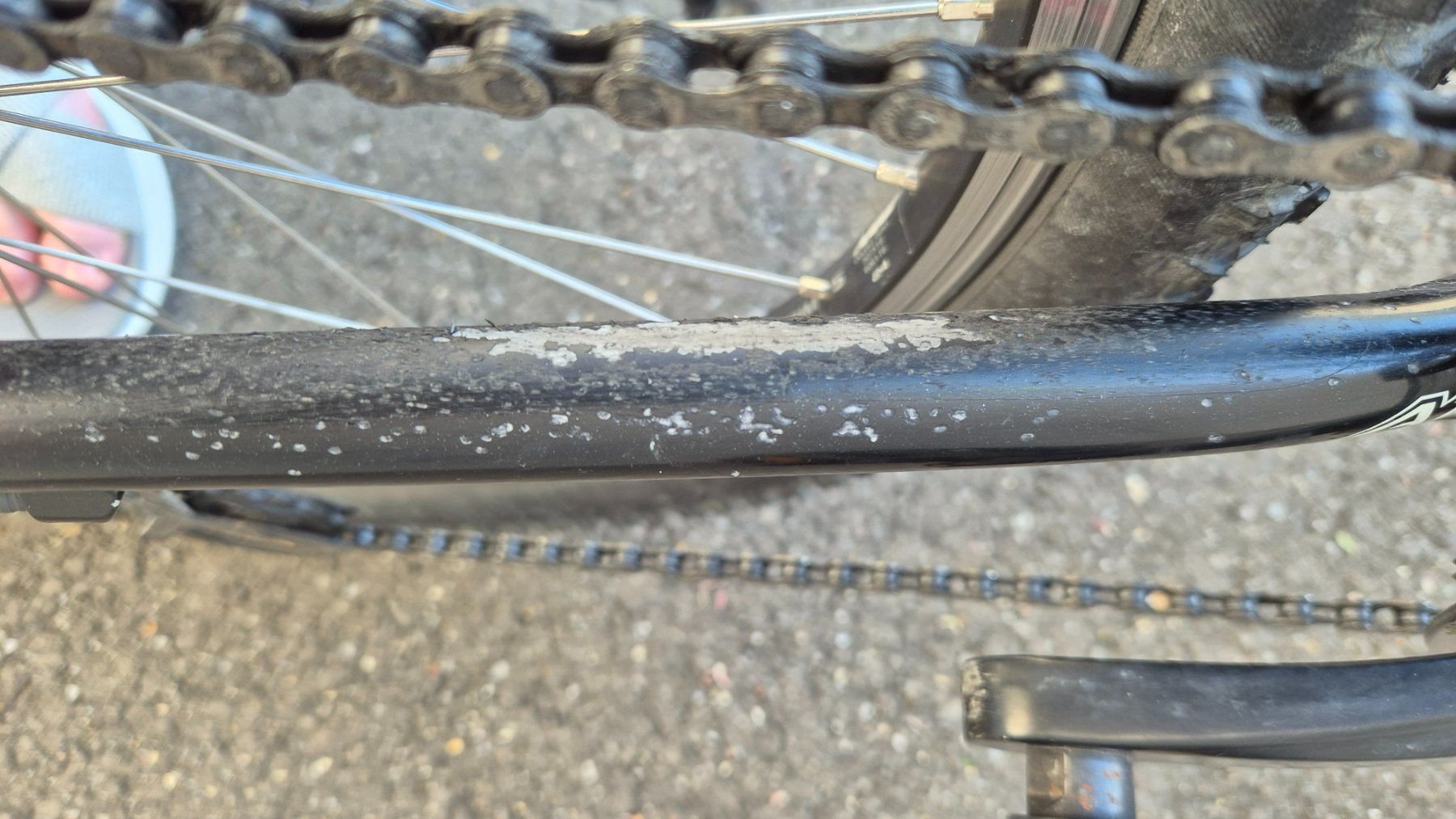 Specialized Biciclette: Kindervelo Specialized Hotrock 24'' XC – Usato da Baar venduto da rebeli6340 7