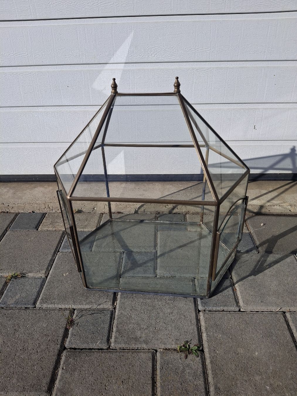 Terrariums: Terrarium – D'occasion à Salavaux par oski06