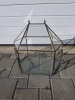 Terrarium