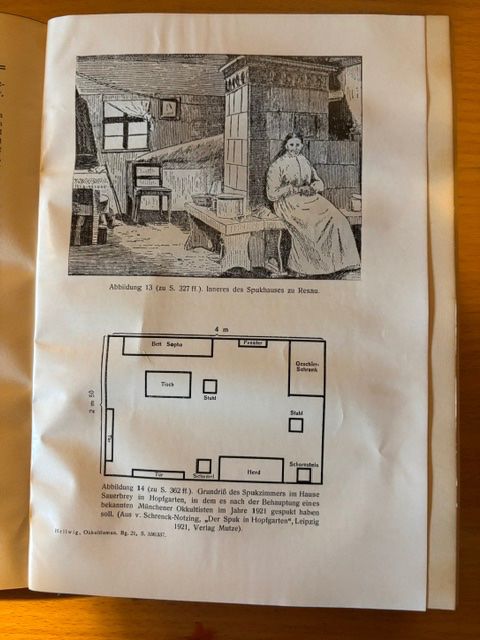 Libri: Buch: "Okkultismus und Verbrechen" 1929 – Usato da Seon venduto da retep012 9