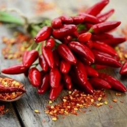Pflanzen & Samen: Thai Dragon Chili Scharf Samen 10 Stück – Neu (gemäss Beschreibung) aus Regensdorf von Mischa88 1